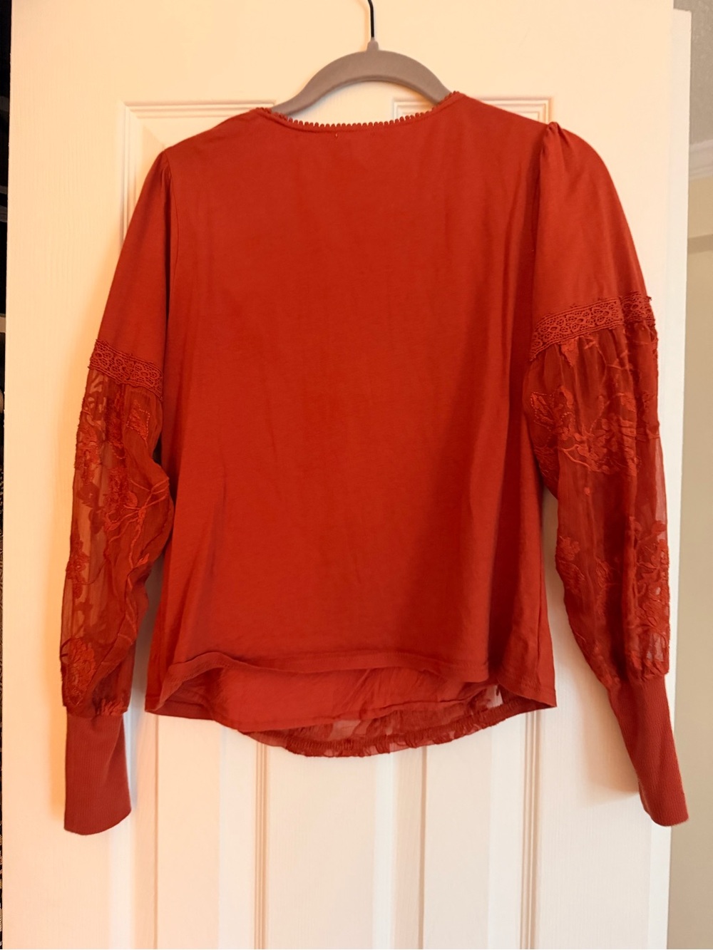 Embroidered Long-Sleeve Ribbed Cuff Top in Rust - Picture 6 of 6